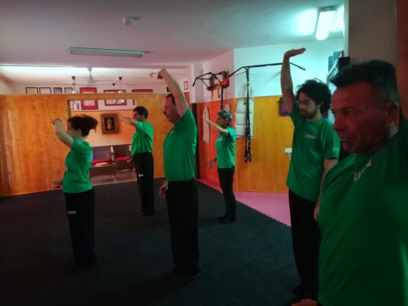 Kung Fu Academy di Sifu Mezzone scuola di wing chun e taijiquan, di wing tsun, difesa personale e arti marziali cinesi a Caserta e in Italia www.kungfuitalia.it (199)